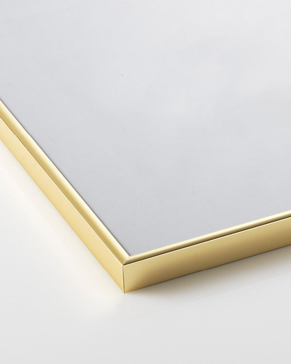 Aluminum Gold Frame