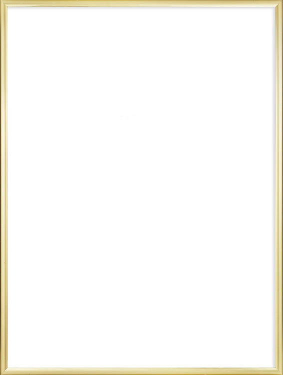 Aluminum Gold Frame