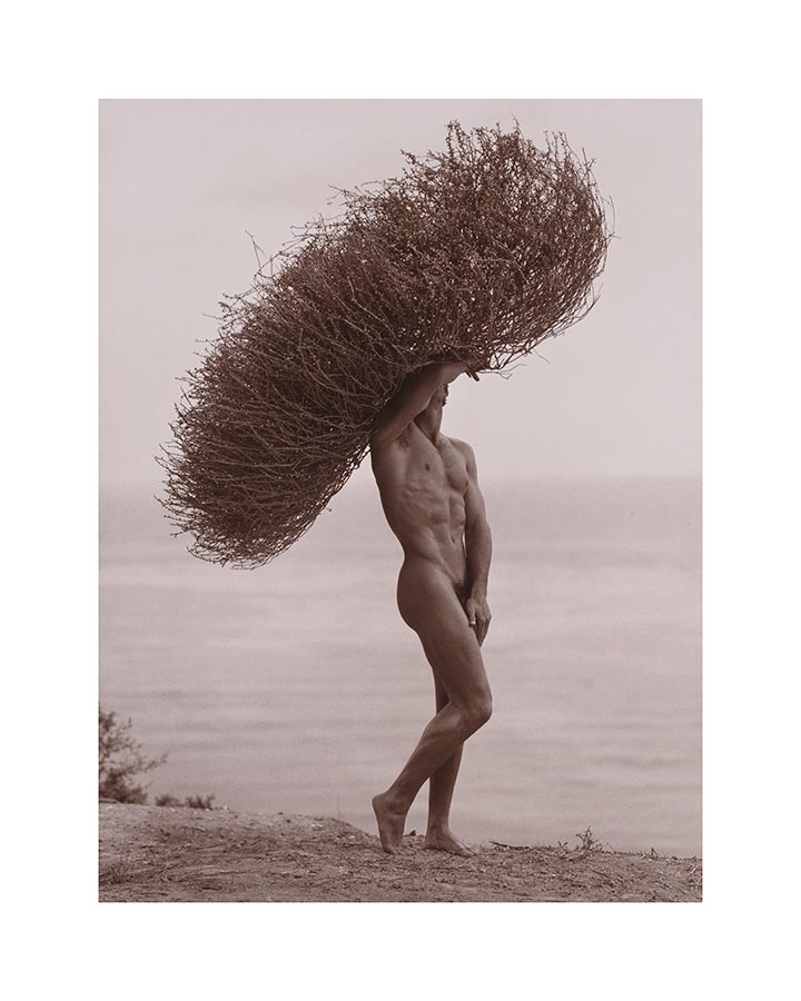 Male Nude with Tumbleweed Poster