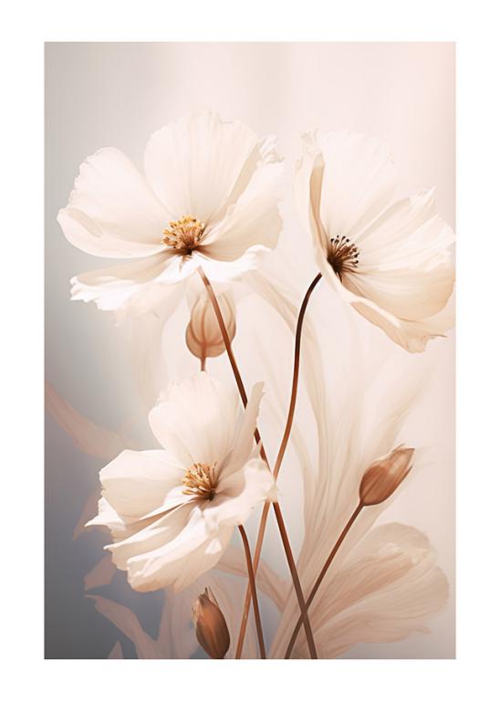 Elegant White Flowers