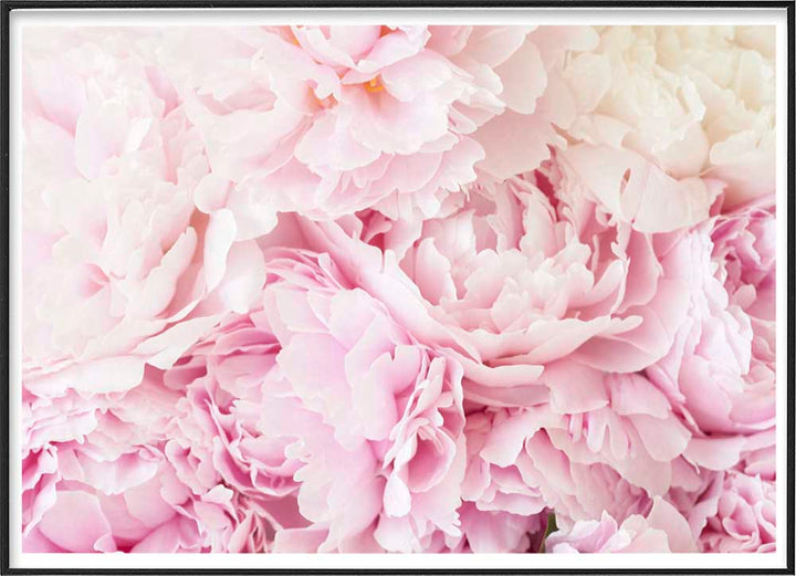 PEONYPosterMARY & FAPMARY & FAP
