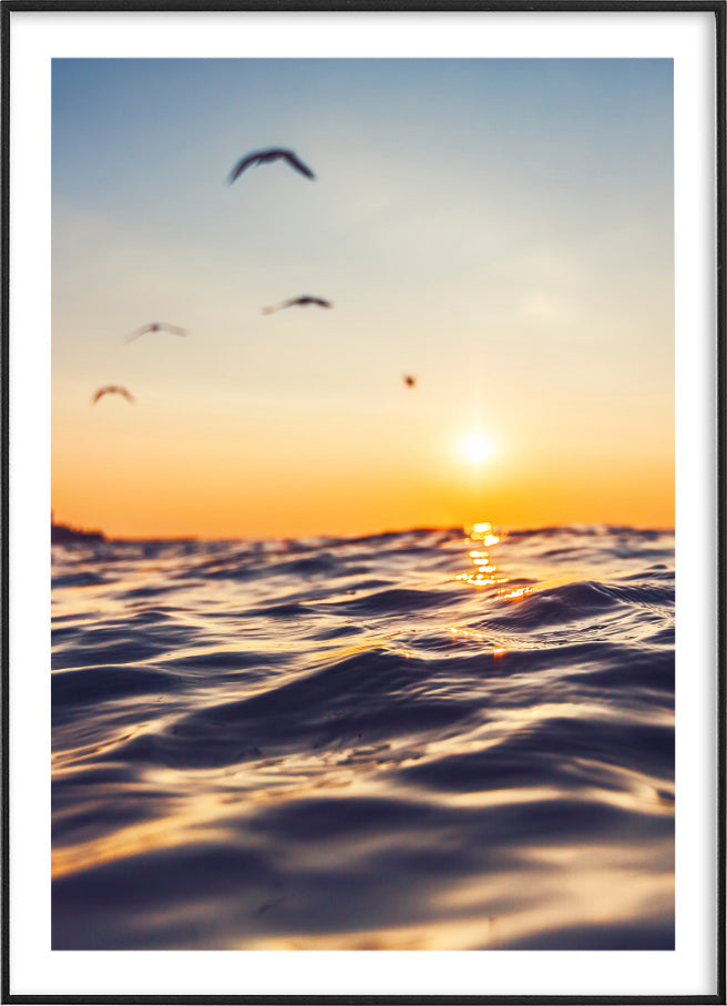 SUNSET AND SEAGULLPosterFinger Art PrintsMARY & FAP