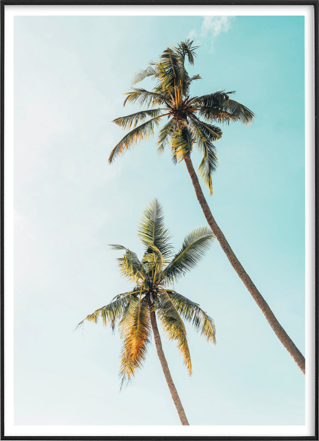CALIFORNIA PALMSPosterFinger Art PrintsMARY & FAP