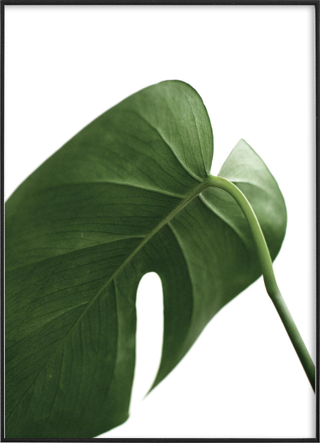 GREEN LEAF PHOTOGRAPHYPosterFinger Art PrintsMARY & FAP