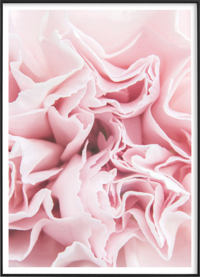 PEONY FLOWERPosterFinger Art PrintsMARY & FAP